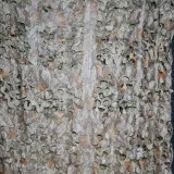 Camouflage net 2×4 m summer-autumn TM Yaroslav