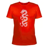 Suit with dragon print T-shirt with shorts m.F-553 red TM Yaroslav Suit with dragon print T-shirt with shorts m.F-553 red TM Yaroslav