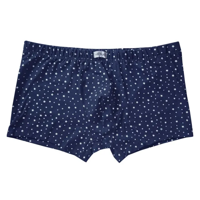 Briefs men's boxer shorts m.F-050 stars on blue TM Yaroslav